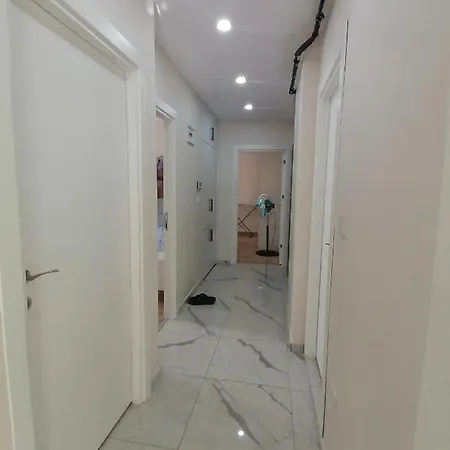 Spacious And Apartment