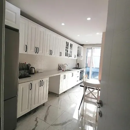 Apartment Spacious And Istanbul